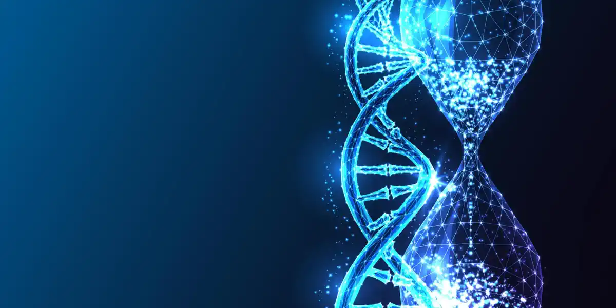 一只小虫子刚刚揭示了一个关于活得更久的大秘密